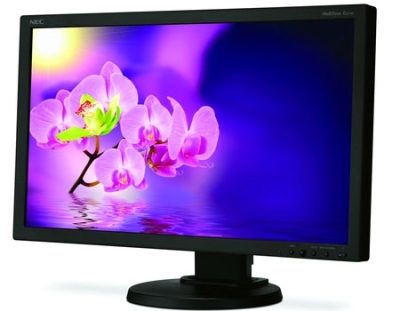 NEC MultiSync E231W