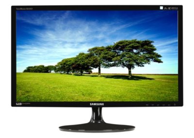 Monitor SAMSUNG BX2431