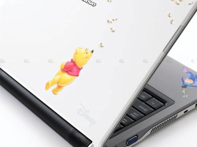 Notebook Lenovo F21-L72 “Winnie the Pooh”