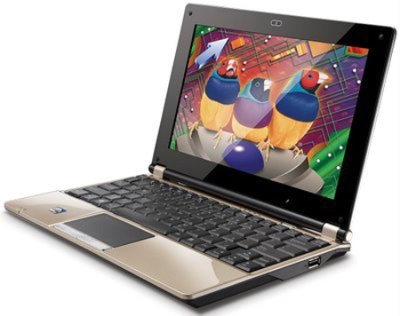 Netbook ViewSonic VNB100