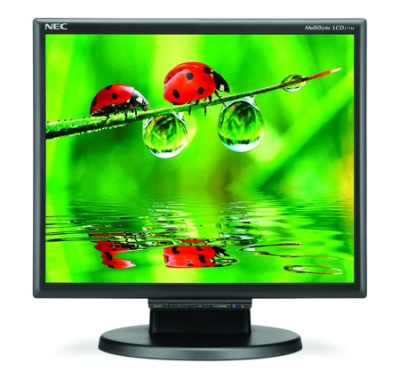 NEC MultiSync LCD175M