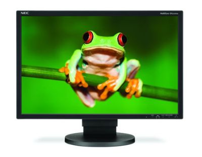 NEC MultiSync EA222WMe