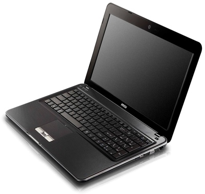 MSI P600