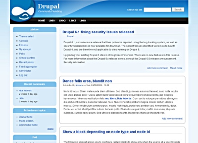 Tema Drupal Pixture